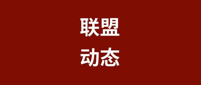 深化培养，加速成长，联盟全方位助力盟员转型