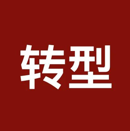 加入中国税务律师联盟后，我和律所副主任成了盟友