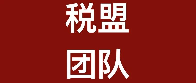税盟团队文章合集（一）